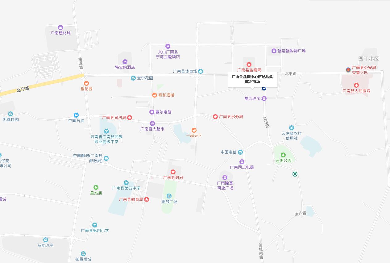 广南县莲城中心市场经营有限公司签约包租婆商场市场租赁管理系统